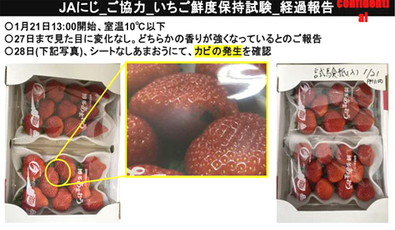 (株）PlastiFarm の鮮度保持シート